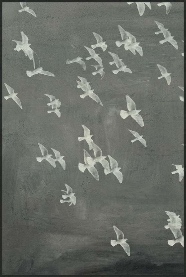 Flight 1, Framed