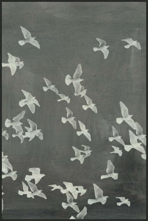 Flight 2, Framed