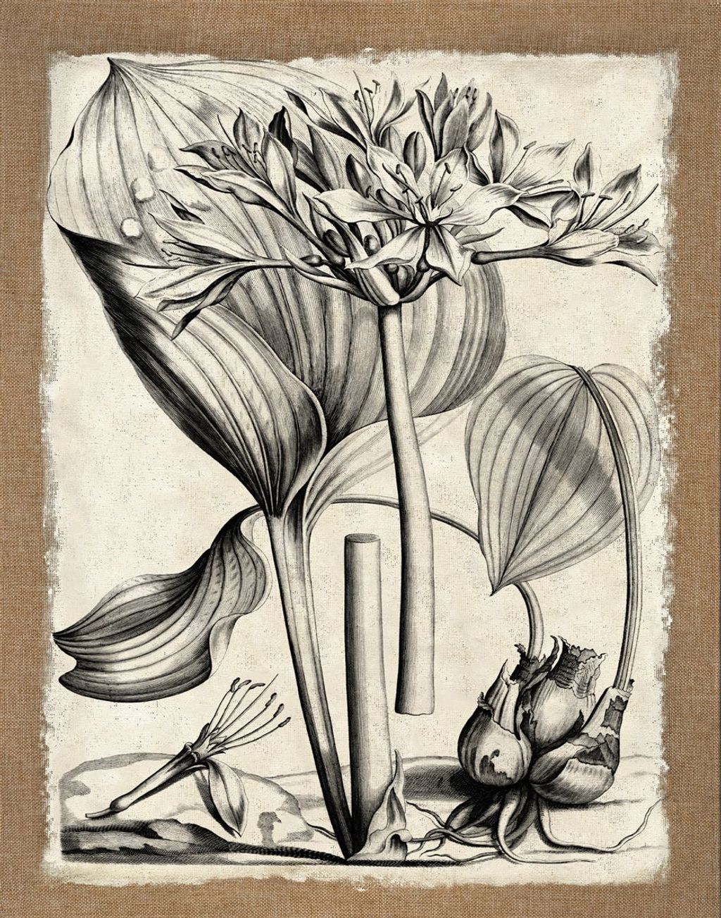 Rustic Floral 3, 22" X 28"