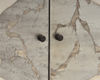 Image 5 of 7