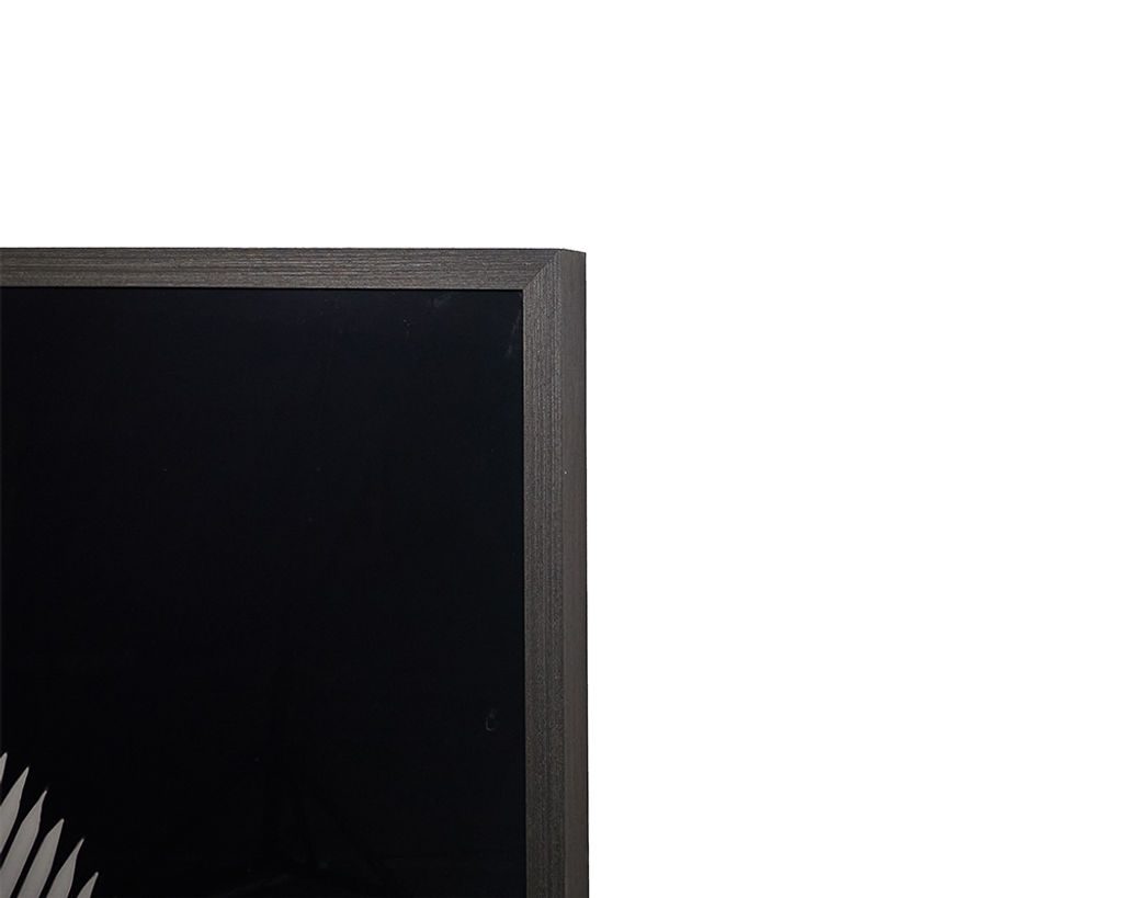 Stage Fright - 40" X 60" - Charcoal Frame
