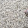 Image 7 of 7