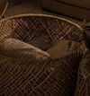 Image 14 of 15