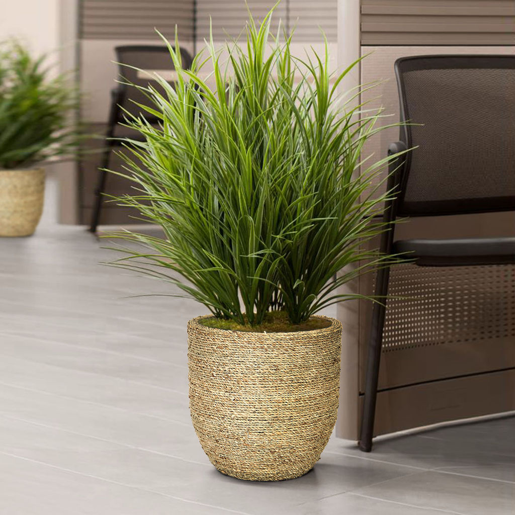 Nature Grass And Concrete Pot