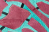 Image 8 of 8