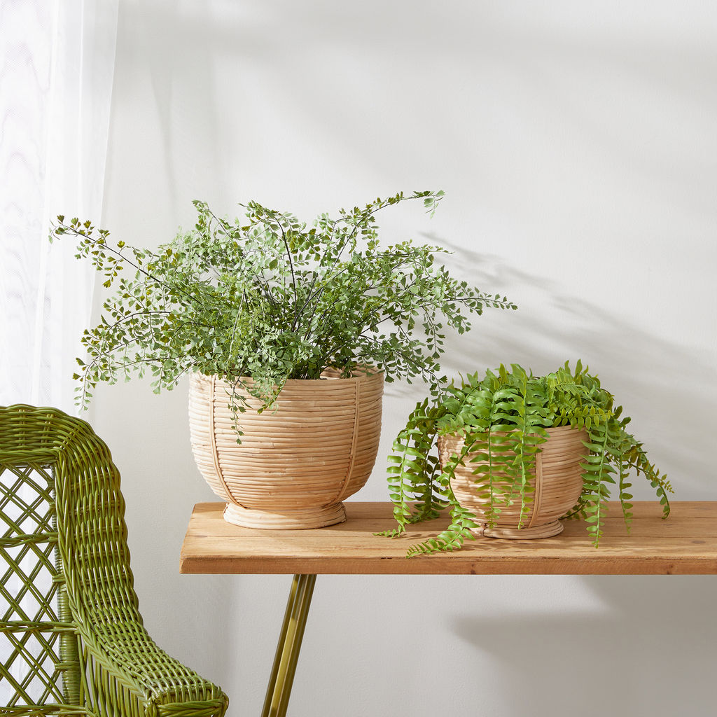 Preview image for Cane Rattan Decorative Footed Bowls, Set Of 2