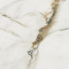 Image 11 of 11