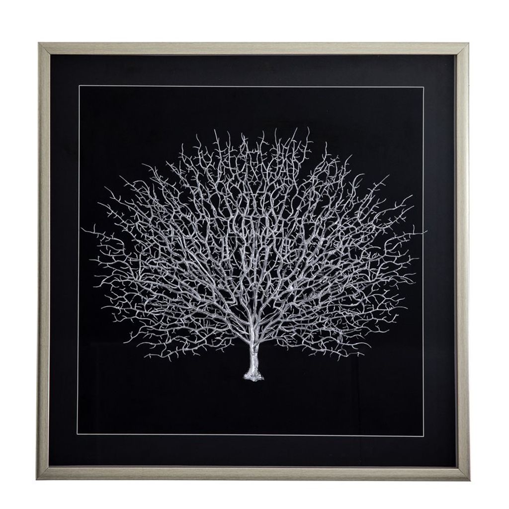 Preview image for Sea Fan Shadow Ii