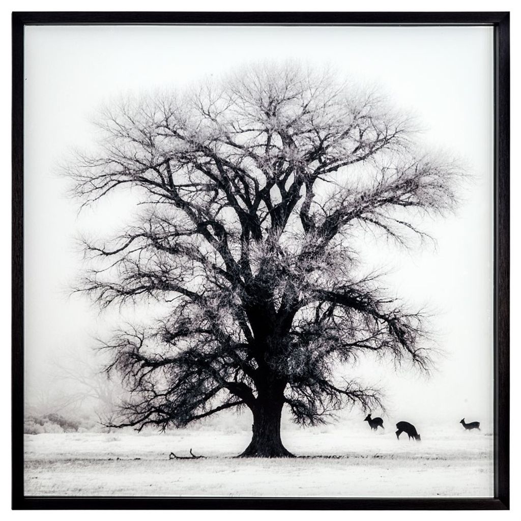 Preview image for Winter’s Morning Fog Ii