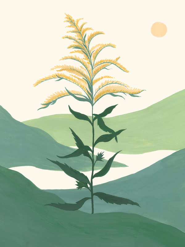 Goldenrod By Elana Gabrielle 17.25"X21.25"