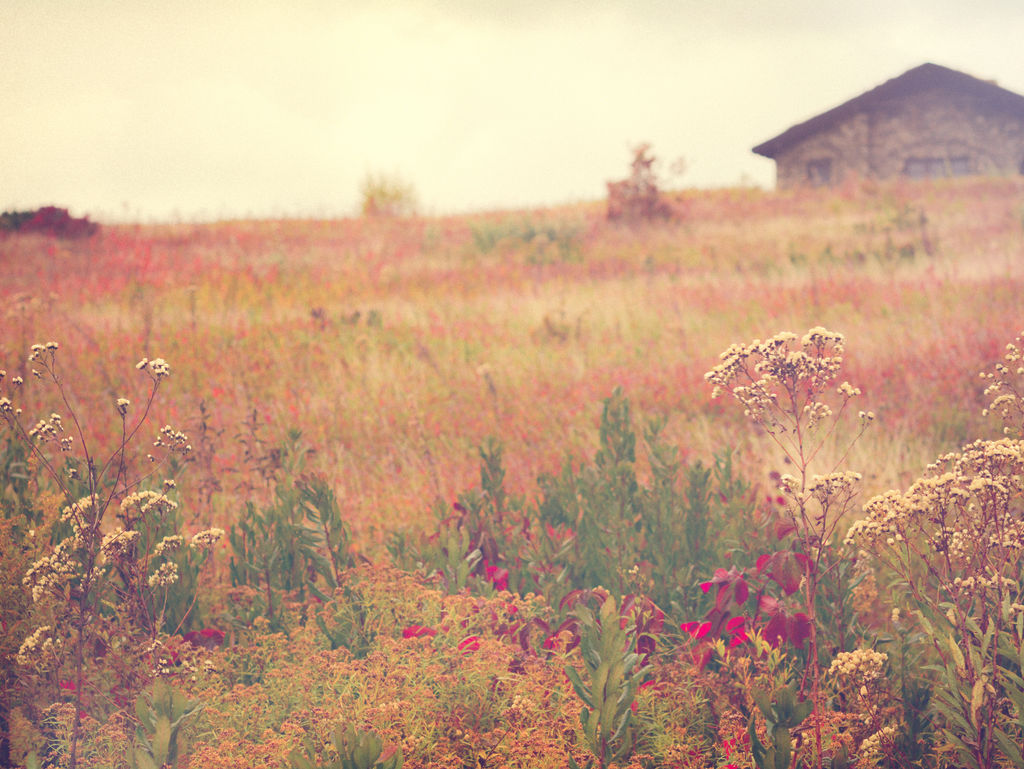 Preview image for An Autumn New England 21.25"X17.25"