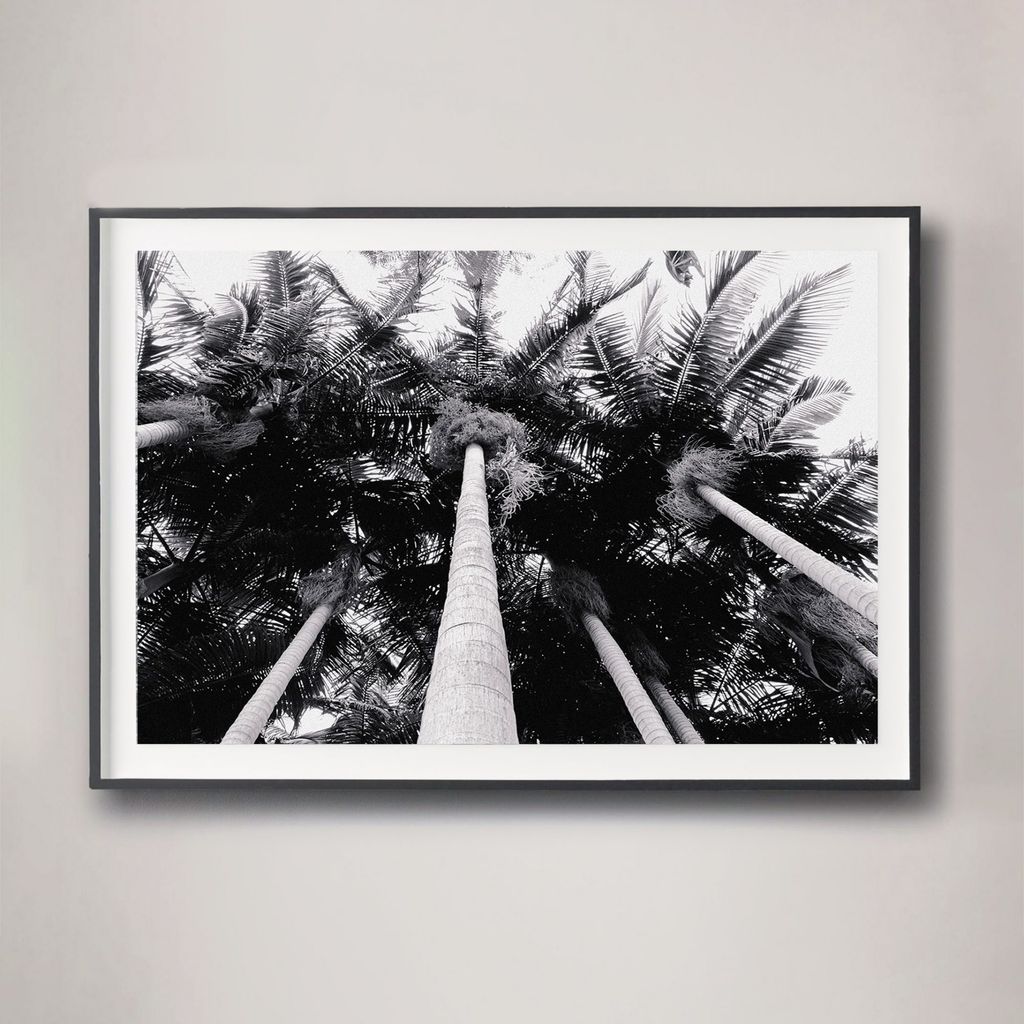 Preview image for Into The Palms - 22" X 16", Unframed-2
