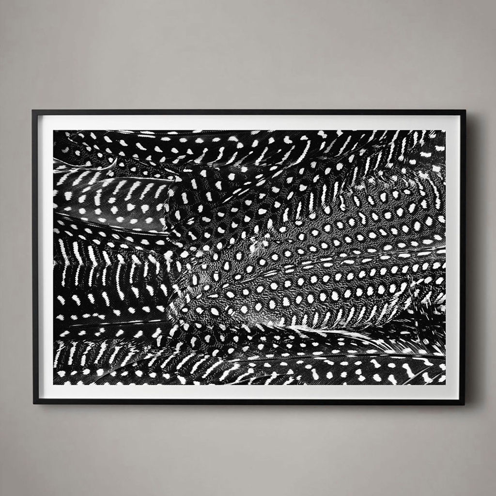 Plumes No. 2 - 30" X 20" (32" X 22" Framed), Unframed
