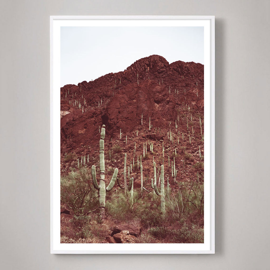 Sonoran No. 5 - 60" X 40" (62" X 42" Framed), Unframed