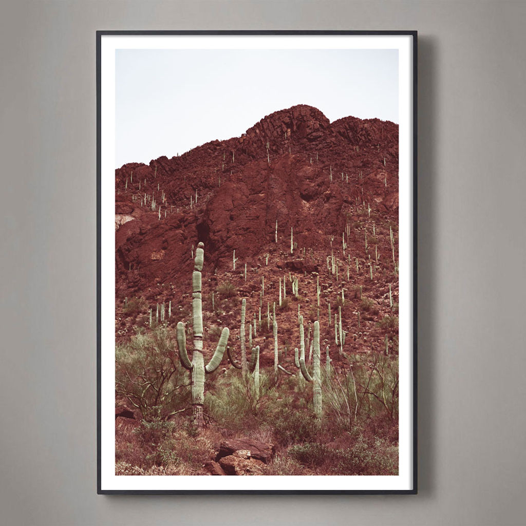 Sonoran No. 5 - 60" X 40" (62" X 42" Framed), Unframed
