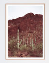 Image 4 of 5