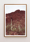 Image 3 of 5