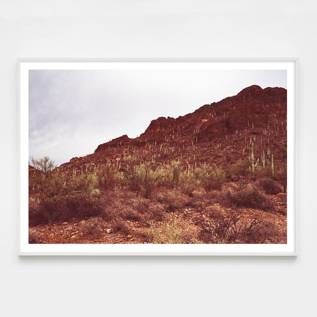 Sonoran No. 6 - 48" X 32" (48" X 32" Framed), White