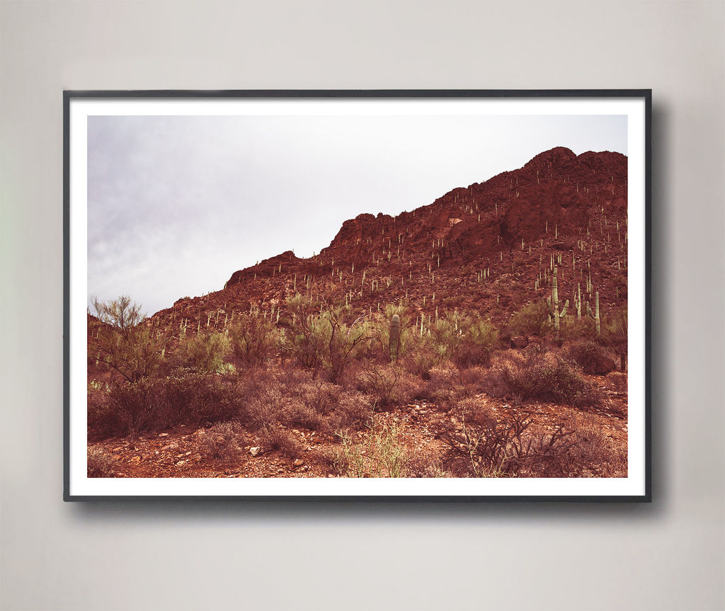 Sonoran No. 6 - 48" X 32" (48" X 32" Framed), White