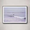 Image 2 of 4