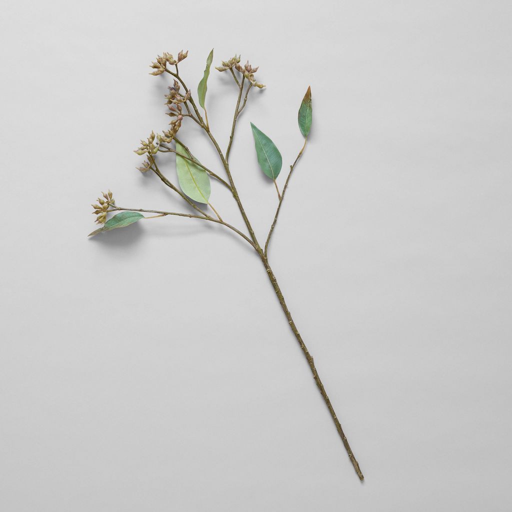 Preview image for Ecofaux Eucalyptus Seed Branch