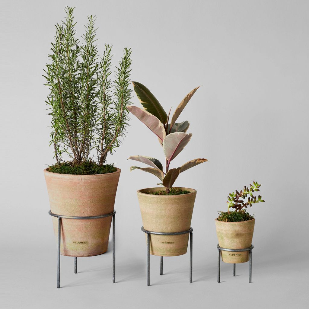 Studio Planter Large, Greenwash