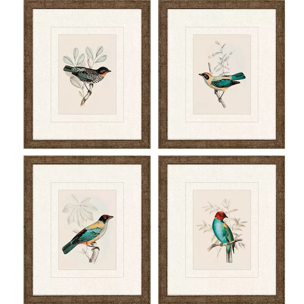 Traditional Birds, Set Of 4 (13"H x 11"W)
