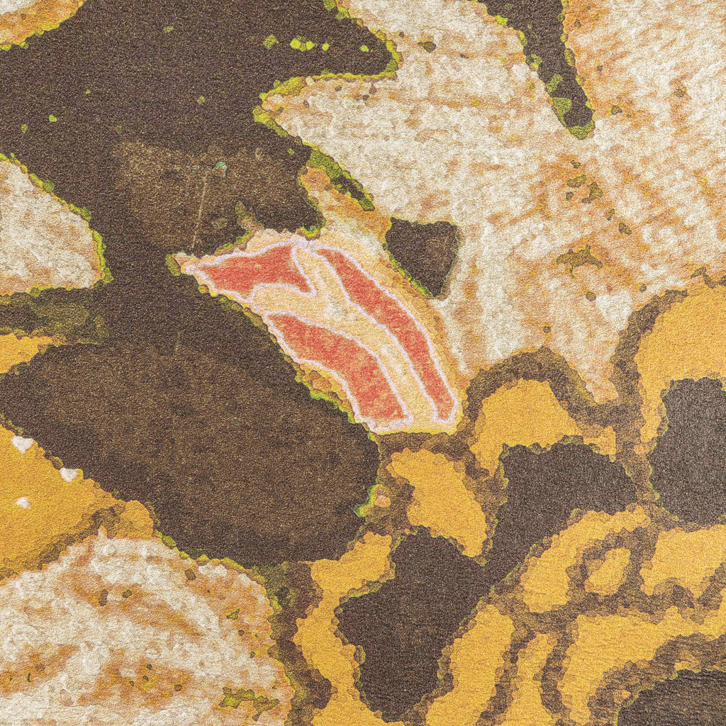 Arioso Paper-Petal/Coin