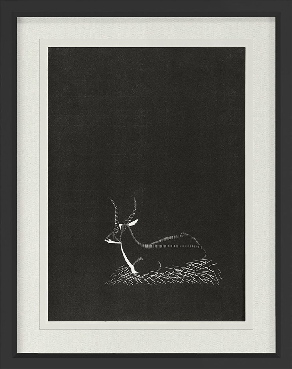 Antelope