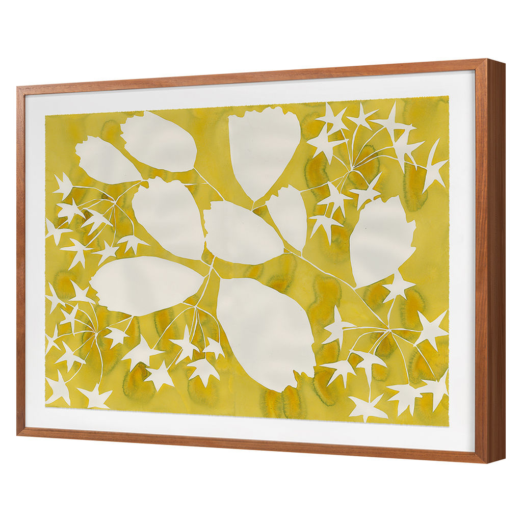 Golden Spirea