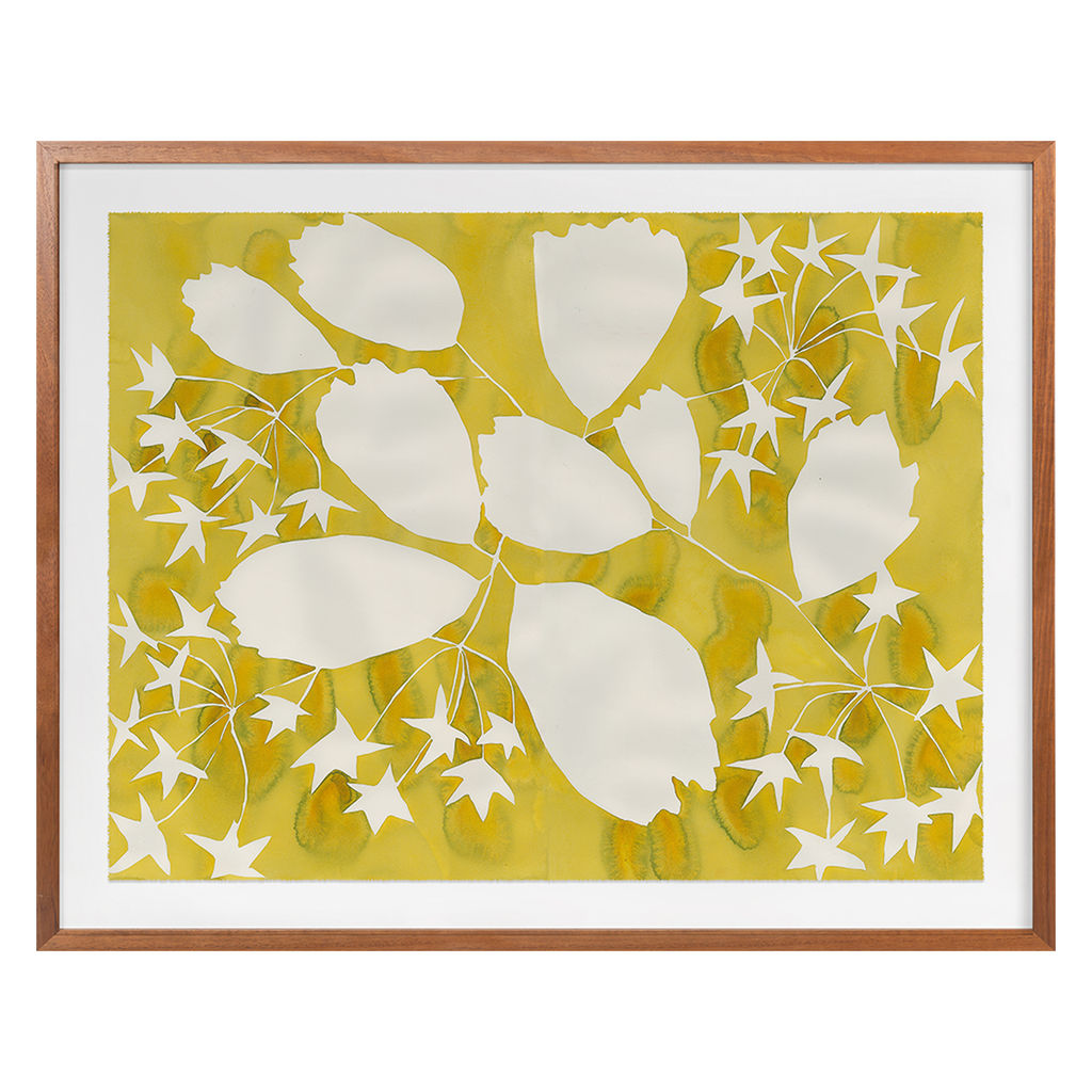 Golden Spirea