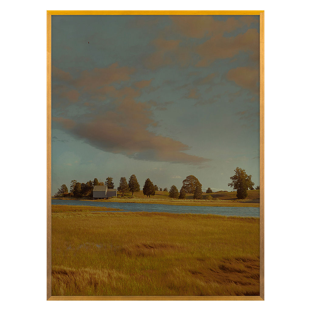 Cape Cod Marsh