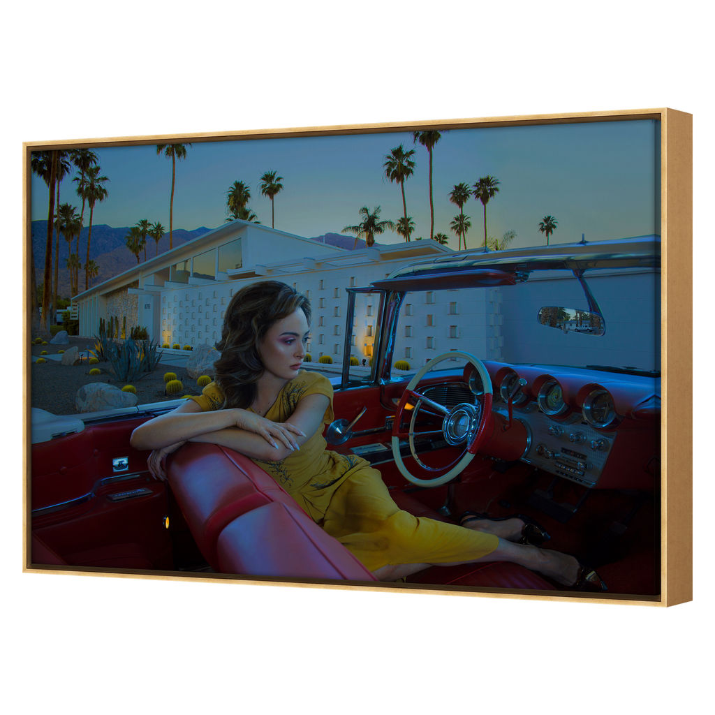 Palm Springs 36" X 50"