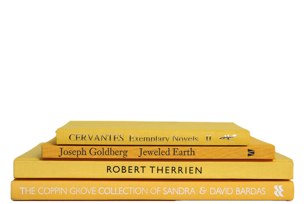 Modern Daffodil Colorstak