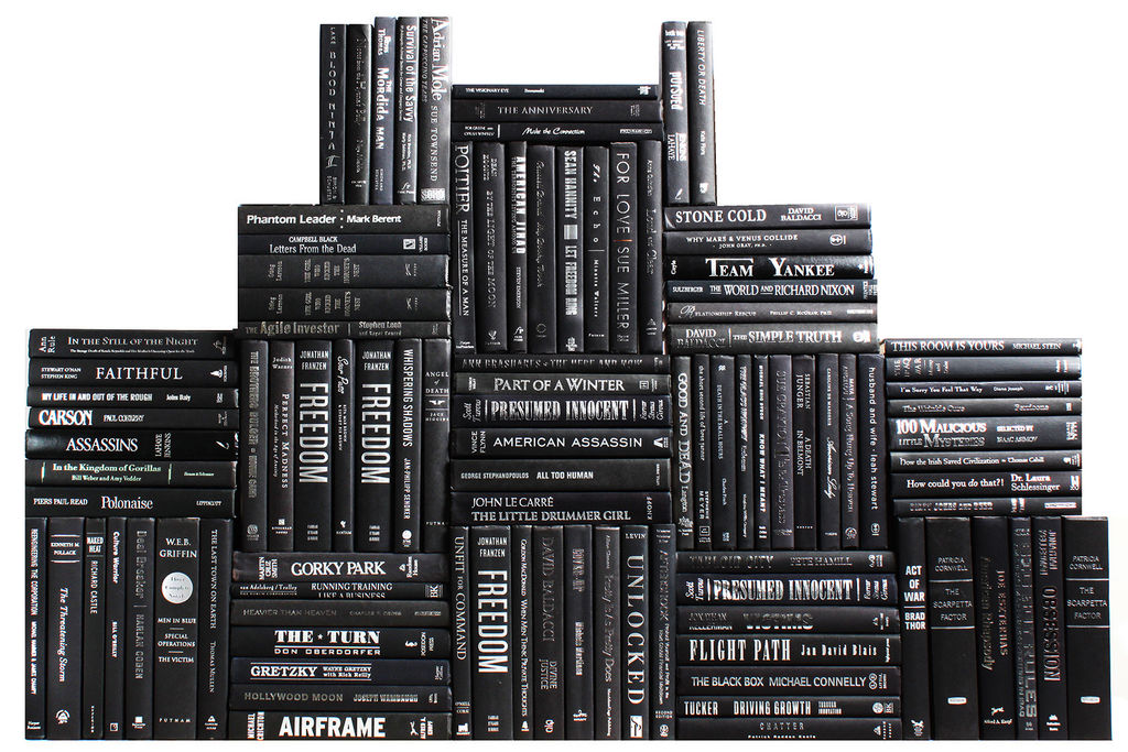 Preview image for Modern Onyx & Silver Book Wall, S/100