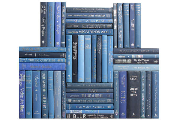 Modern Denim & Silver Book Wall, S/50