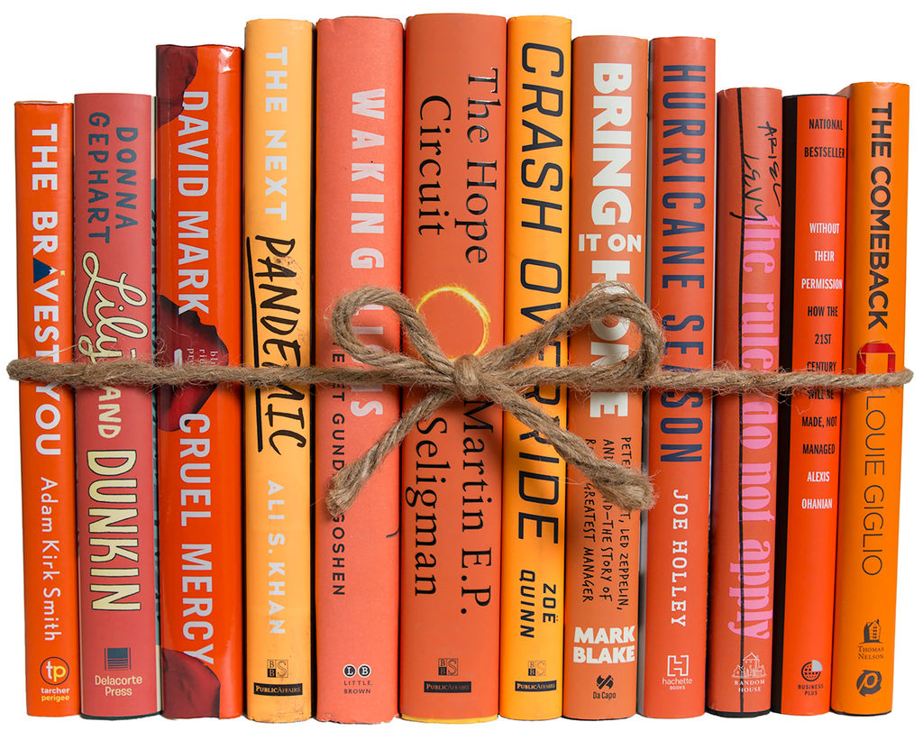 Orange Accent Books