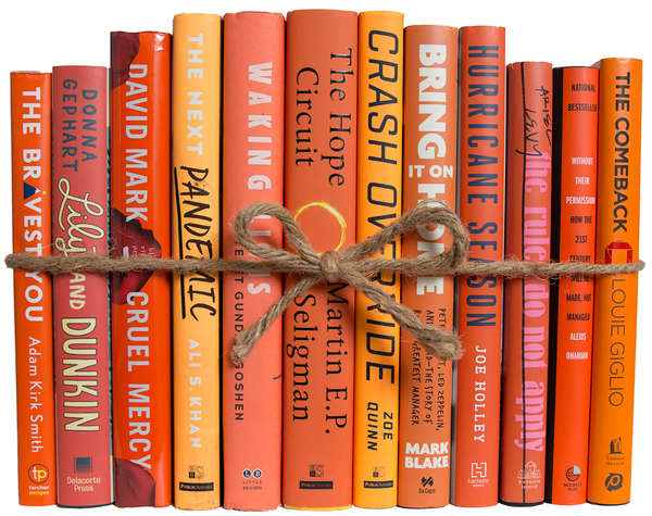 Orange Accent Books