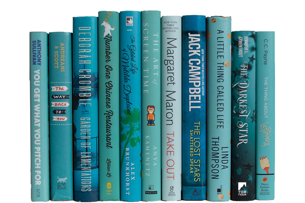 Modern Gulf Breeze Dust Jacket Colorpak