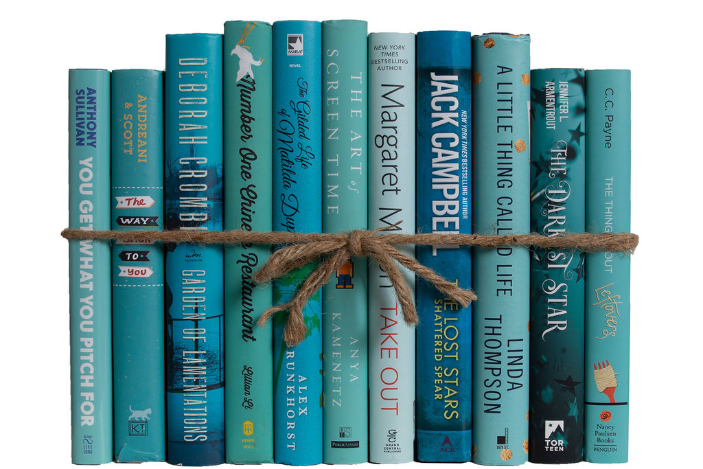 Modern Gulf Breeze Dust Jacket Colorpak