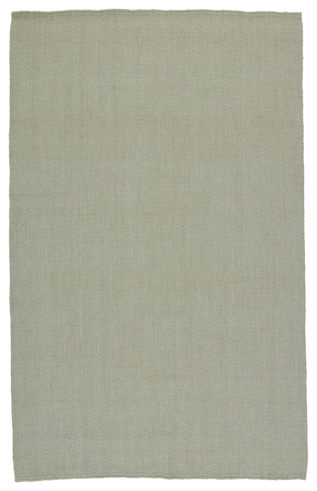Ranier Natural Solid Green Area Rug (8'X10')