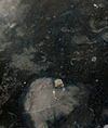 Image 3 of 7