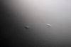 Image 2 of 9