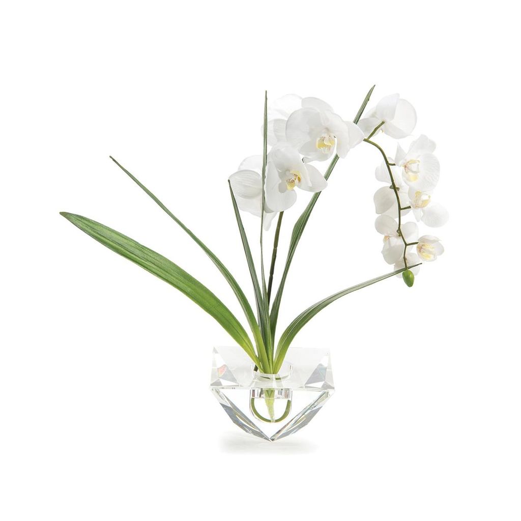 Phalaenopsis Orchid in Diamond-Cut Crystal