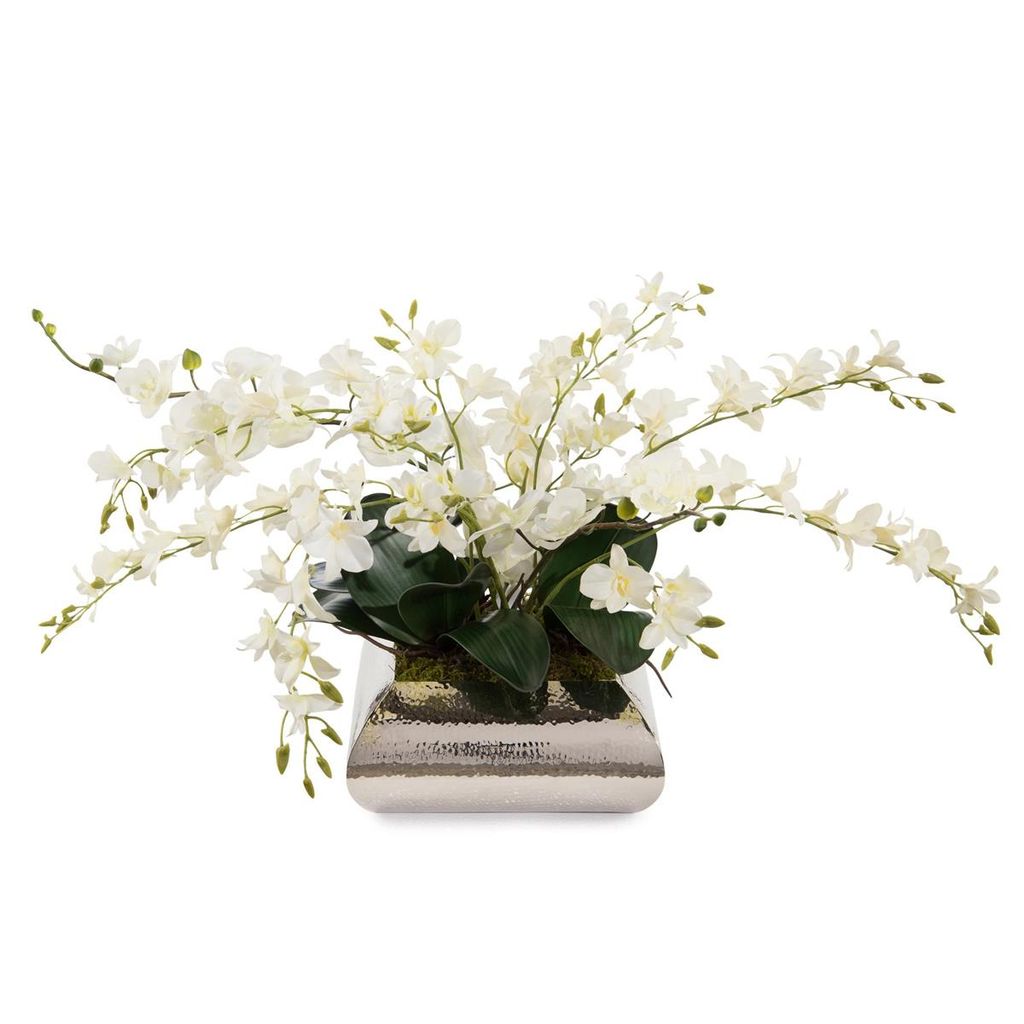 Preview image for Dendrobium Reflections