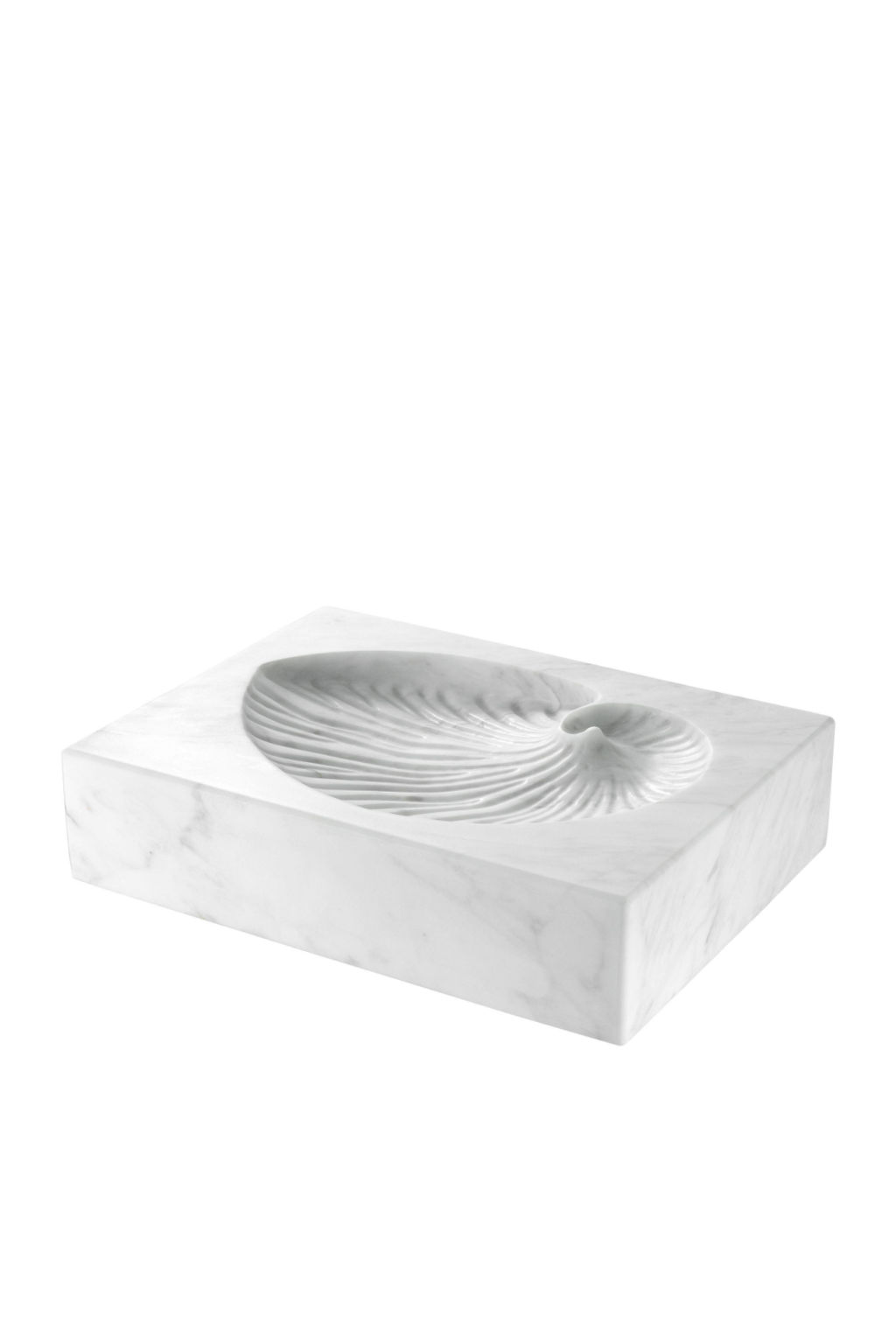 Preview image for White Marble Fossil