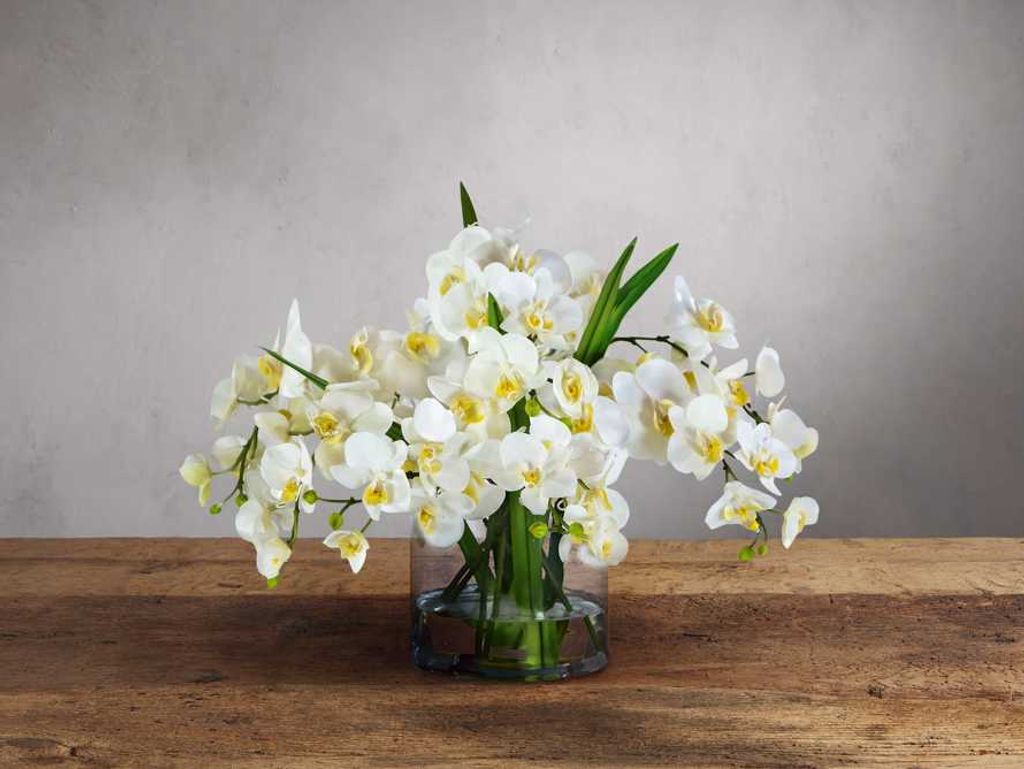 Preview image for Faux White Phalaenopsis In Glass