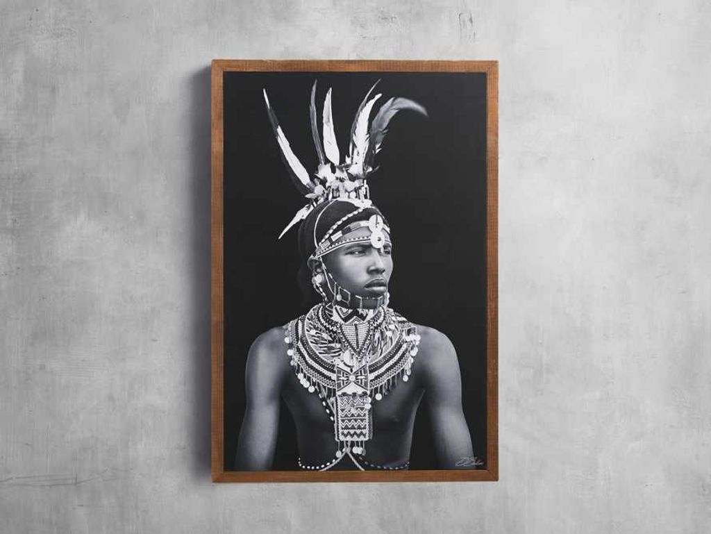 Preview image for Turkana Feather Framed Print