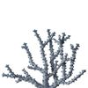Image 4 of 5
