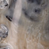 Image 6 of 6